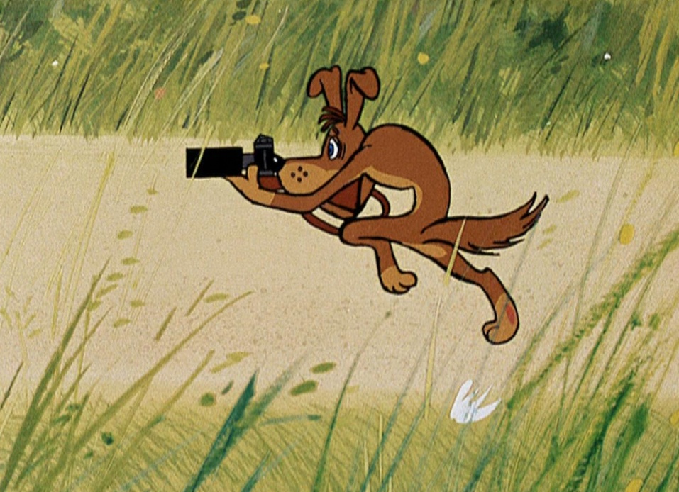 MIT научит вас фотожурналистике бесплатно